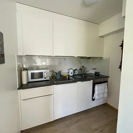 Appartement Side/fire Place/garden/freeparking/45m2 *