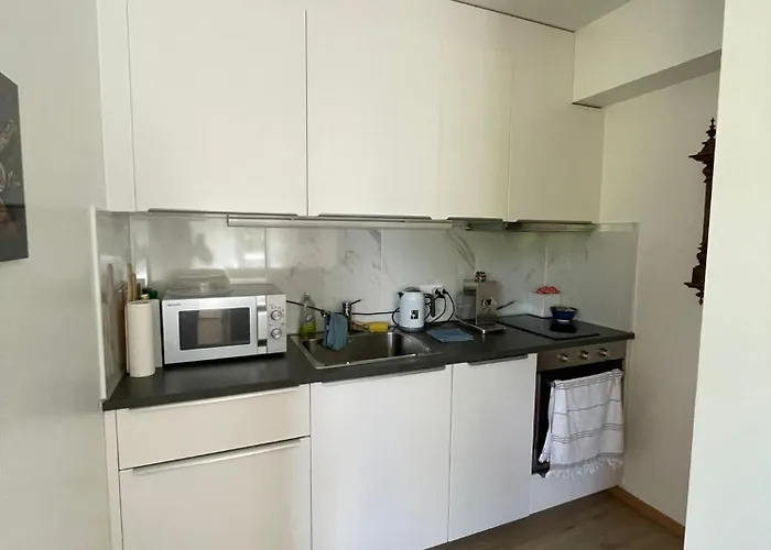 公寓 Side/fire Place/garden/freeparking/45m2 *